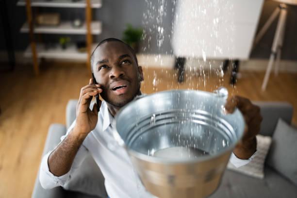 Best Local water damage restoration  in Dorneyville, PA