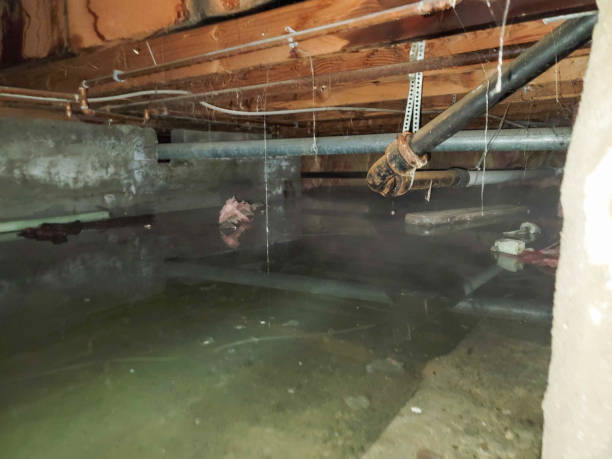  Dorneyville, PA Water damage restoration Pros