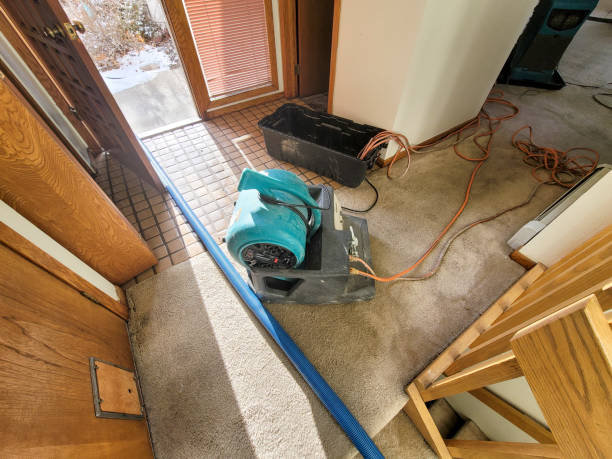 Best Flooded house restoration  in Dorneyville, PA