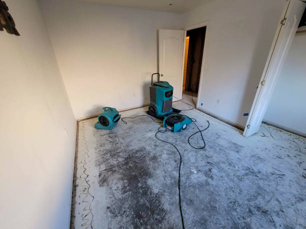 Best Residential water damage restoration  in Dorneyville, PA