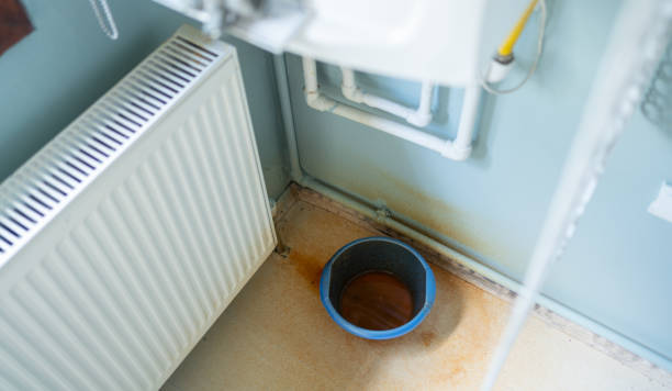 Best Water damage cleanup near me  in Dorneyville, PA